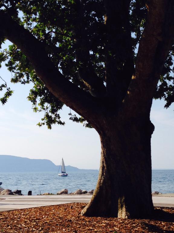 Ca' Dei Gatti Villa Toscolano Maderno Dış mekan fotoğraf
