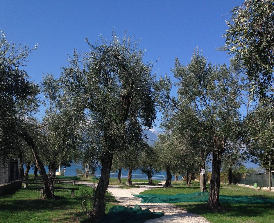 Ca' Dei Gatti Villa Toscolano Maderno Dış mekan fotoğraf