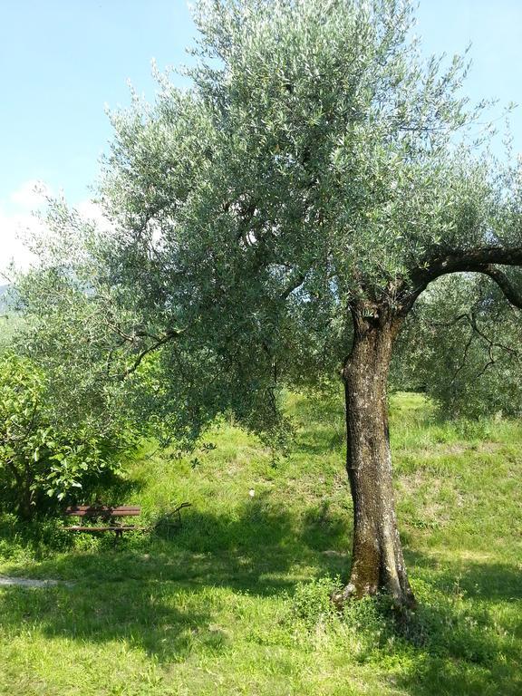 Ca' Dei Gatti Villa Toscolano Maderno Dış mekan fotoğraf
